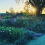 wardington-manor-english-gardens