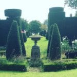 wardington-manor-gardens-hedges