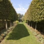 yew-hedges-garden-Sissinghurst-inspired
