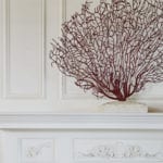 Bryne Residence coral