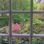 Garden-looking-toward-the-water-thru-the-window-768×1024