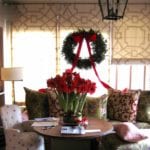 frances-schultz-amaryllis-christmas-flowers