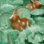 dodie-thayer-lettuce-ware-lettuce-ware-cabbage-bunnies-collection