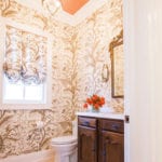 lsm-design-studio-powder-room-french-country-bird-thistle-toile-brunschwig-fils-painted-ceiling-orange-balloon-valance