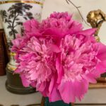 Bettie-Bearden-Pardee-Peonies-Floral-Arrangement