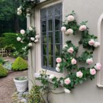 Bettie-Bearden-Pardee-Private-Newport-Rhode-Island-Garden-Tour-Climbing-Roses-peach-blush