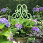 Bettie-Bearden-Pardee-Private-Newport-Rhode-Island-Garden-Tour-Hydrangeas-purple-blue-bench