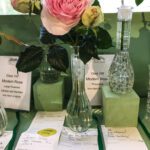 Bettie-bearden-pardee-Newport-flower-show-roses