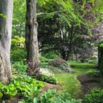 arbour garden