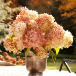 norman-askins-highlands-north-carolina-mountain-house-carole-weaks-interior-design-hydrangea