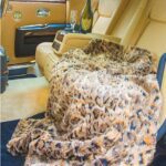 Patricia Altschul Collection for HSN Faux-Fur Throw
