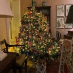 charlie-mccormick-christmas-tree-ben-bentreath