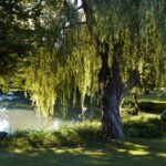 english-countryside-home-tour-gardens-grounds