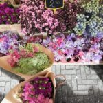 market-flowers