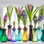 christopher-spitzmiller-clove-brook-farm-hyacinth-bulb-forcers-vintage-new-colorful
