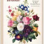 Redouté- Redoute Selection of the Most Beautiful Flowers
