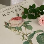joseph-redoute-roses-botanical-book