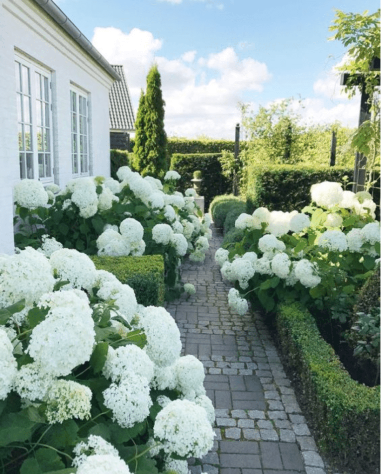 A Heavenly Garden in Denmark