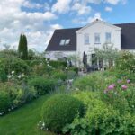 gina-gncgarden-instagram-denmark-garden-peonies-roses