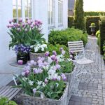 gina-gncgarden-instagram-denmark-garden-purple-tulips