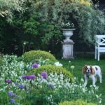 gina-gncgarden-instagram-denmark-garden-spring
