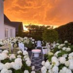 gina-gncgarden-instagram-denmark-garden-white-annabelle-hydrangeas-boxwood-sunset