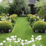 gina-gncgarden-instagram-denmark-garden-white-tulips-spring-garden