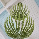 Gasparilla Inn Beach Club 017