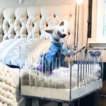 pretty-kennels-lucite-luxury-hollywood-glamour-kennel-crate-bed
