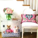 pretty-kennels-lucite-luxury-hollywood-glamour-kennel-crate-decor-gingham