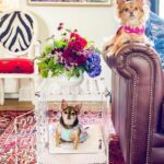 pretty-kennels-lucite-luxury-hollywood-glamour-kennel-crate-end-table-flowers