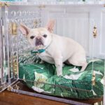 pretty-kennels-lucite-luxury-hollywood-glamour-kennel-crate-french-bulldog-brass-acrylic