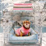 pretty-kennels-lucite-luxury-hollywood-glamour-kennel-crate-interior-design-books