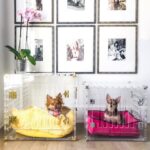 pretty-kennels-lucite-luxury-hollywood-glamour-kennel-crate-medium-small
