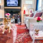 pretty-kennels-lucite-luxury-hollywood-glamour-kennel-crate-rebecca-hitchcock