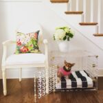 pretty-kennels-lucite-luxury-hollywood-glamour-kennel-crate-stairs