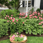 pink-tulips-in-basket-the-glam-pad