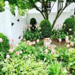 pretty-pink-tulips-the-glam-pad-garden-tour-king-charles-cavalier