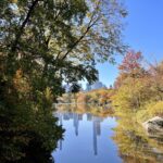 fall-in-new-york-city-manhattan-central-park