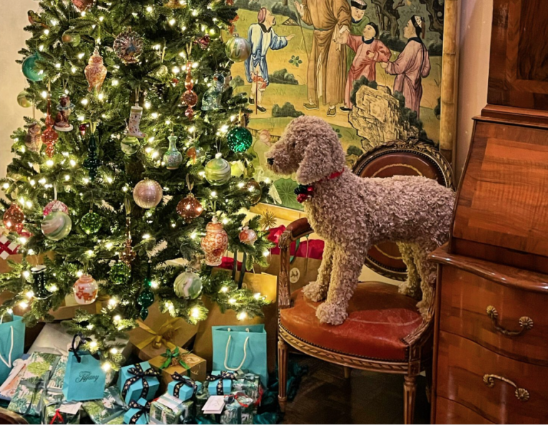 Our Favorite Black Friday and Cyber Monday Sales!