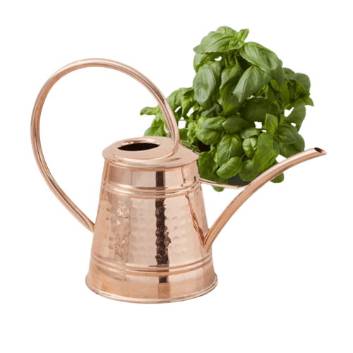 Copper Watering Can
