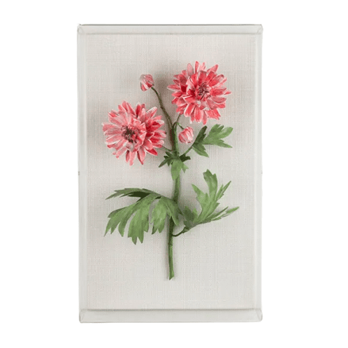 Crysanthemum Wall Art