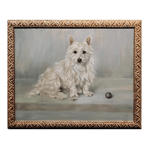 Westie White Terrier Portrait