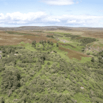 Dunbeath-Castle-Scotland-for-sale-The-Glam-Pad-20