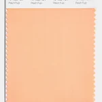the-glam-pad-pantone-color-of-the-year-peach-fuzz