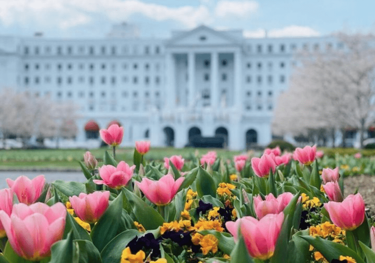 An Insider Glimpse at the Dorothy Draper Decorating Weekend