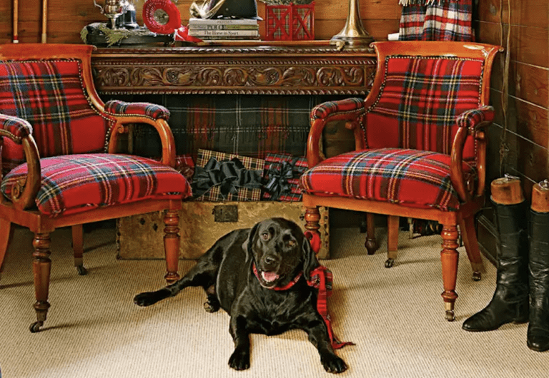 The Glam Pad’s 2024 Tartan Shopping Guide