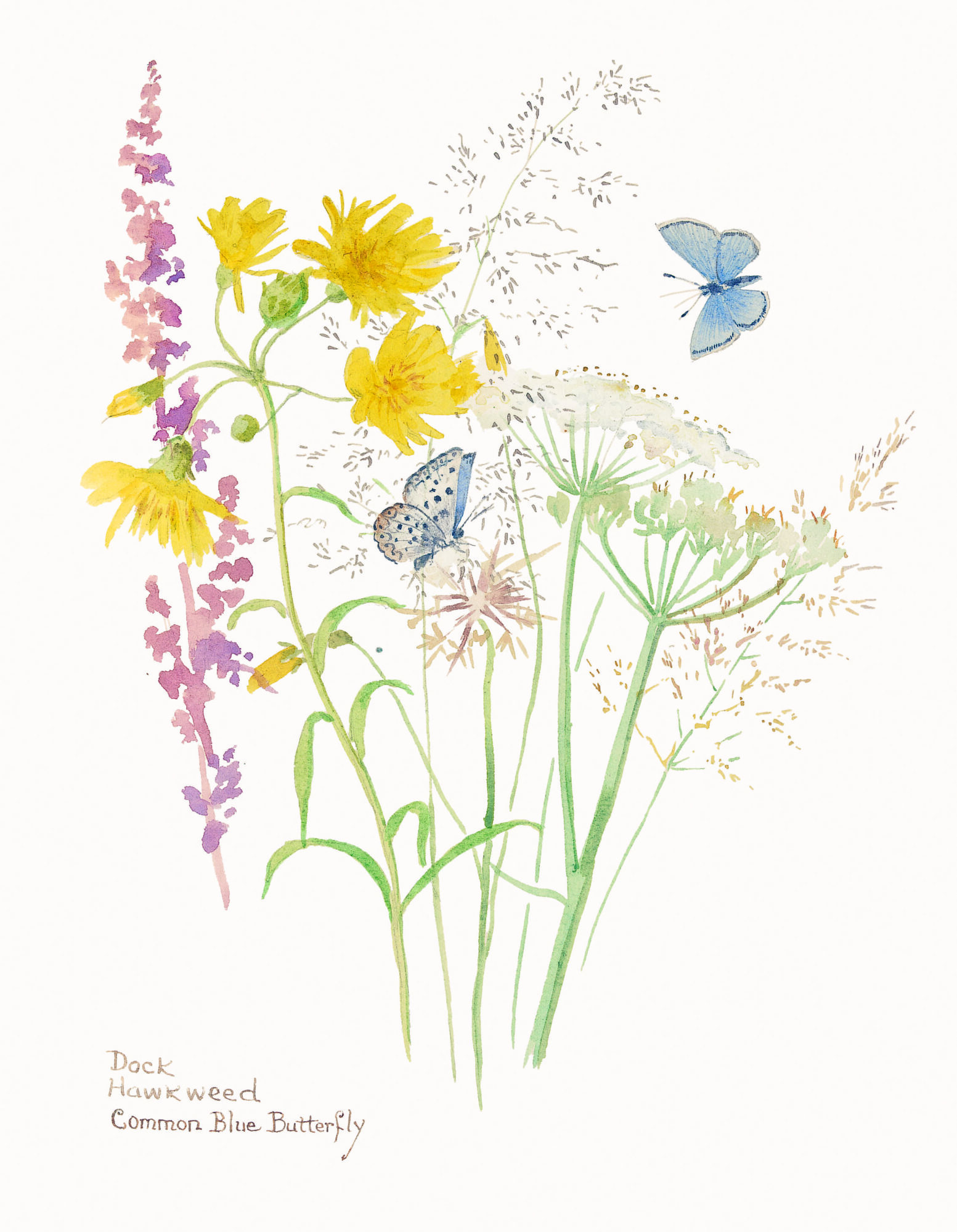 Rizzoli, Nature Notes, p.123, Rowena Stott