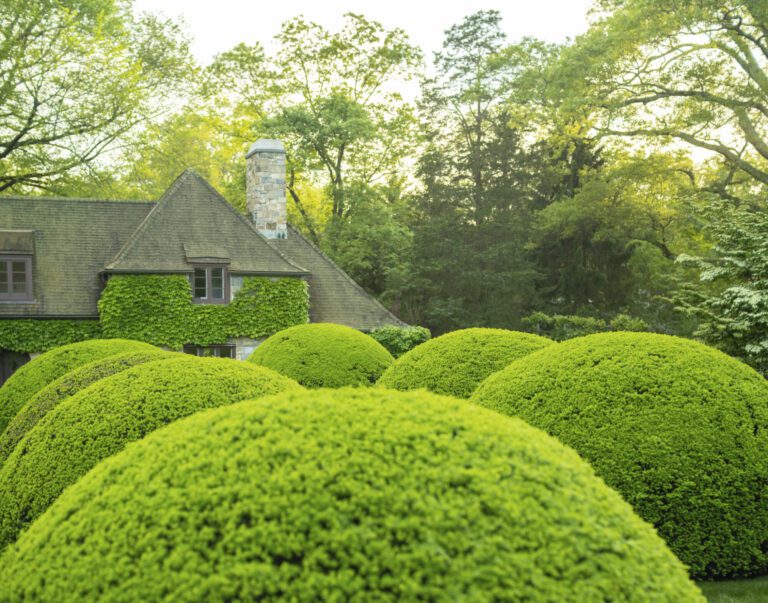A Moment in Time: Designing a Country Garden, The Fund for Park Avenue x Scully & Scully Tulip Party, and Peter Dunham + Hudson Grace 