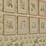 franed botanicals